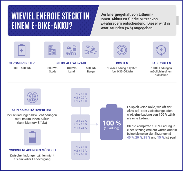 Grafische Darstellung von Daten und Informationen zum Energiegehalt von E-Bike-Akkus auf Lithium-Ionen-Basis